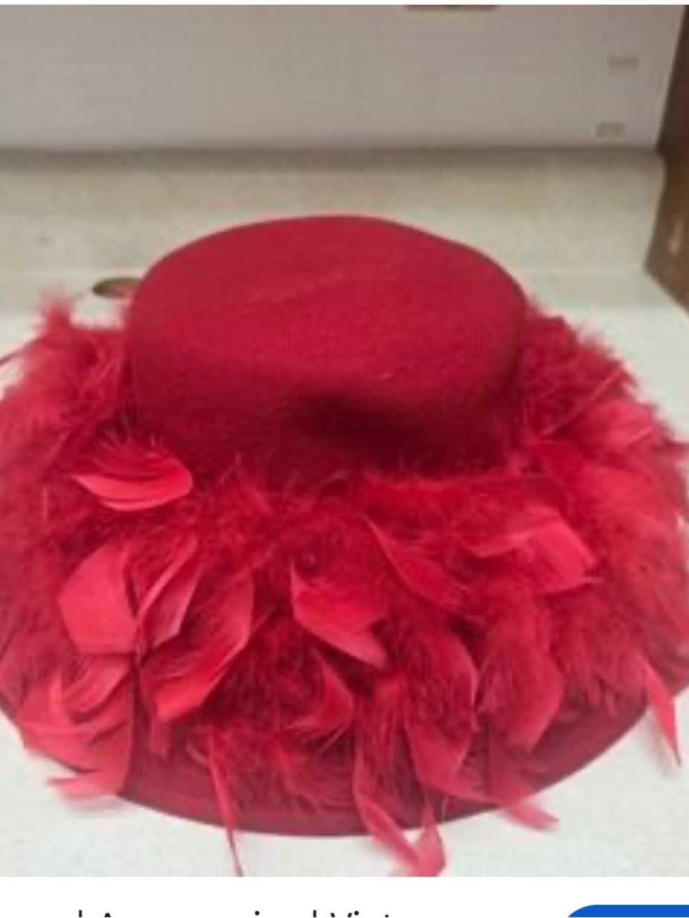 Betmar Red Feather Trim Women's Derby Hat Wool Fedora Hat